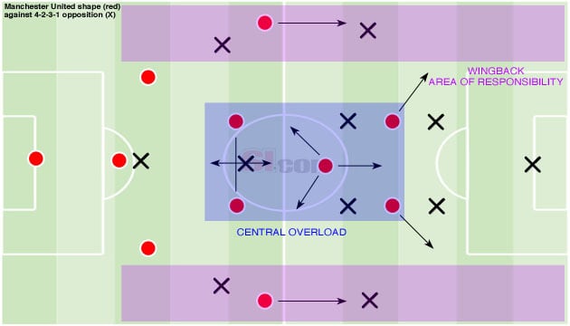 manchester-united-basic-shape